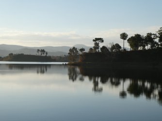 PANA4091 (Custom).JPG PANA4091 (Custom).JPG