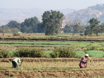 PANA4153 (Custom).JPG PANA4153 (Custom).JPG