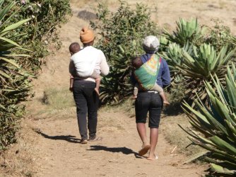 PANA4154 (Custom).JPG PANA4154 (Custom).JPG