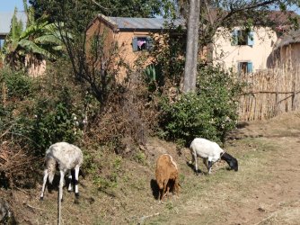 PANA4172 (Custom).JPG PANA4172 (Custom).JPG