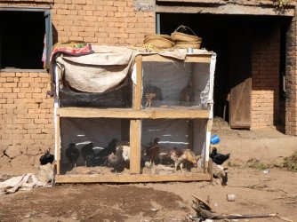 PANA4174 (Custom).JPG PANA4174 (Custom).JPG