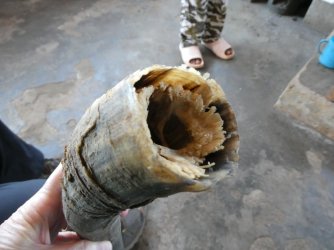 PANA4301 (Custom).JPG PANA4301 (Custom).JPG