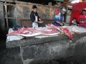 PANA4340 (Custom).JPG PANA4340 (Custom).JPG