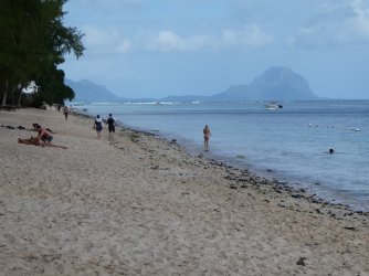 PANA4435 (Custom).JPG PANA4435 (Custom).JPG