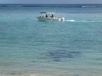 PANA4439 (Custom).JPG PANA4439 (Custom).JPG