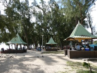 PANA4441 (Custom).JPG PANA4441 (Custom).JPG