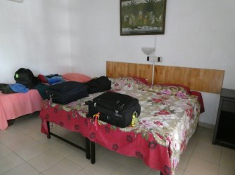 PANA4449 (Custom).JPG PANA4449 (Custom).JPG