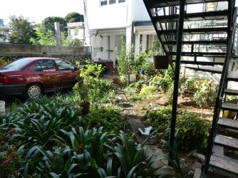 PANA4453 (Custom).JPG PANA4453 (Custom).JPG