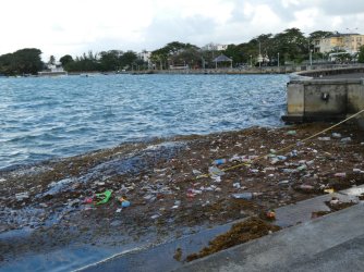 PANA4484 (Custom).JPG PANA4484 (Custom).JPG