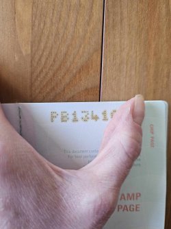 449690840_1535399067390263_2626369400593269890_n.jpg 449690840_1535399067390263_2626369400593269890_n.jpg