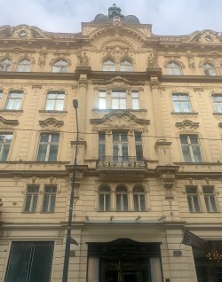 IMG_1647.jpeg IMG_1647.jpeg