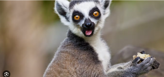 1721300158249.png 1721300158249.png