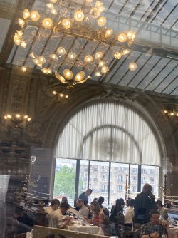 IMG_3960.jpeg IMG_3960.jpeg