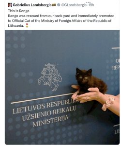 IMG_3964.jpeg IMG_3964.jpeg