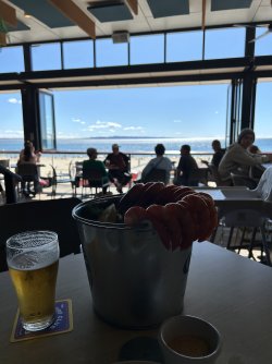 IMG_5726.jpeg IMG_5726.jpeg