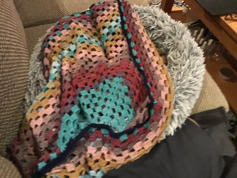 IMG_0532.jpeg IMG_0532.jpeg