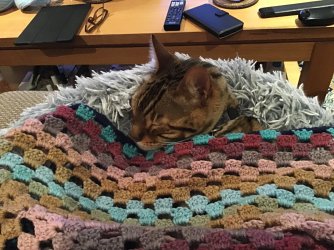 IMG_0536.jpeg IMG_0536.jpeg