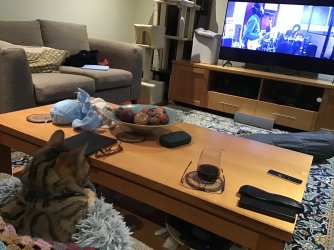 IMG_0537.jpeg IMG_0537.jpeg