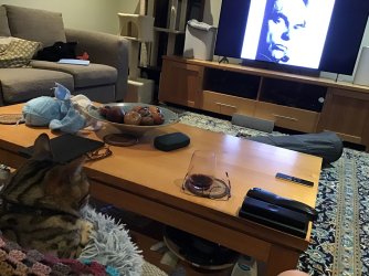 IMG_0539.jpeg IMG_0539.jpeg