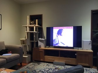 IMG_0541.jpeg IMG_0541.jpeg