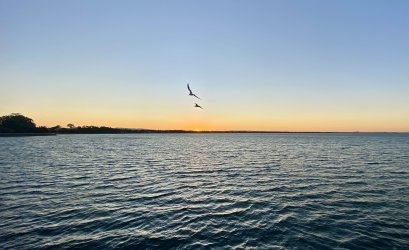 IMG_3794.jpeg IMG_3794.jpeg