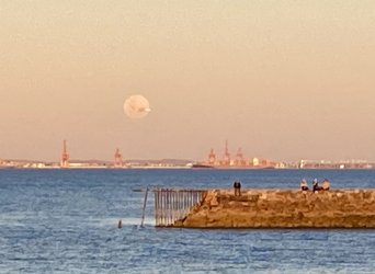 IMG_3785.jpeg IMG_3785.jpeg