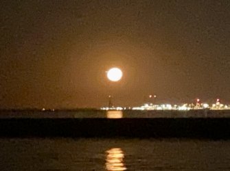 IMG_3825.jpeg IMG_3825.jpeg