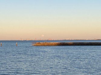 IMG_3781.jpeg IMG_3781.jpeg