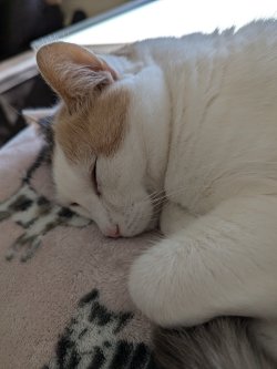 b7aab143-f74a-457b-a3f9-d466fd380219-1_all_22068.jpg b7aab143-f74a-457b-a3f9-d466fd380219-1_all_22068.jpg