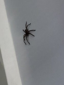 20240724_121414.jpg 20240724_121414.jpg