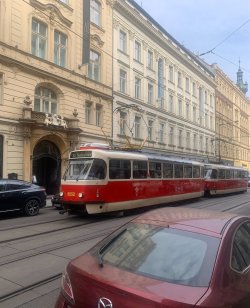 IMG_1664.jpeg IMG_1664.jpeg