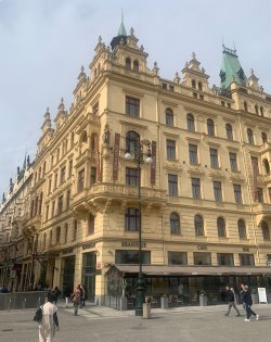 IMG_1665.jpeg IMG_1665.jpeg