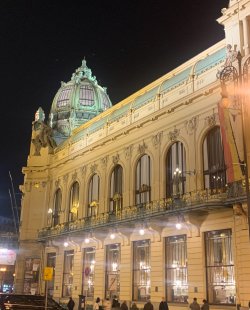 IMG_1663.jpeg IMG_1663.jpeg