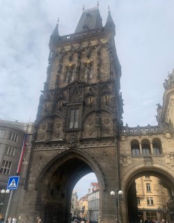 IMG_1666.jpeg IMG_1666.jpeg