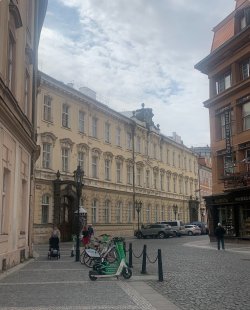 IMG_1667.jpeg IMG_1667.jpeg