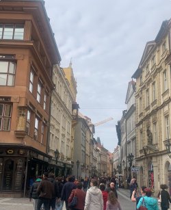 IMG_1668.jpeg IMG_1668.jpeg