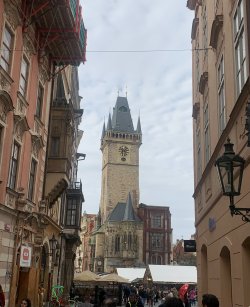 IMG_1671.jpeg IMG_1671.jpeg