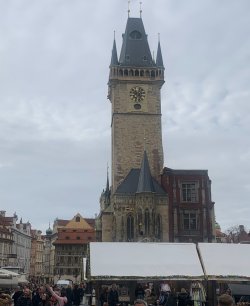 IMG_1672.jpeg IMG_1672.jpeg