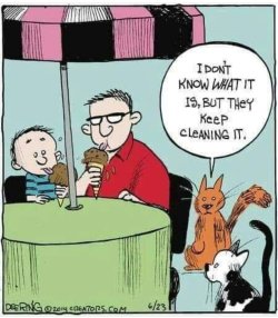 Screenshot_2024-07-26-20-42-40-85_a23b203fd3aafc6dcb84e438dda678b6~2.jpg Screenshot_2024-07-26-20-42-40-85_a23b203fd3aafc6dcb84e438dda678b6~2.jpg