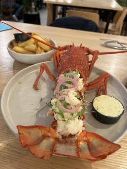 IMG_5756.jpeg IMG_5756.jpeg