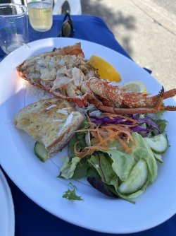 IMG_5752.jpeg IMG_5752.jpeg