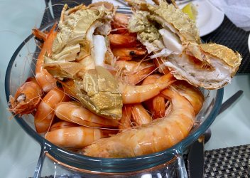 IMG_3853.jpeg IMG_3853.jpeg