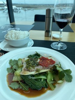 IMG_5376.jpeg IMG_5376.jpeg