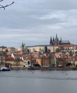 IMG_1698.jpeg