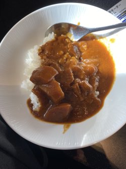 IMG_0576.jpeg IMG_0576.jpeg