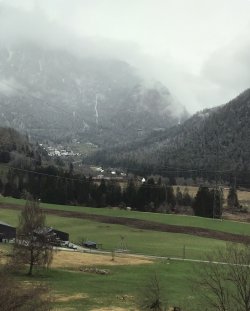 IMG_1786.jpeg IMG_1786.jpeg