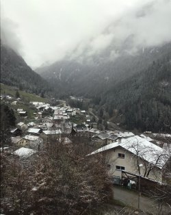 IMG_1788.jpeg IMG_1788.jpeg