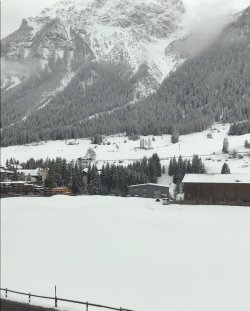 IMG_1789.jpeg IMG_1789.jpeg