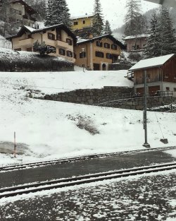 IMG_1790.jpeg IMG_1790.jpeg