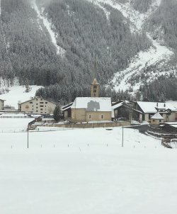 IMG_1791.jpeg IMG_1791.jpeg